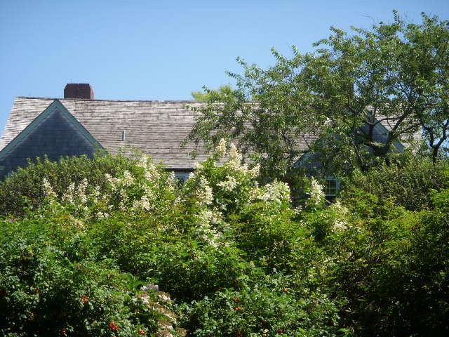 ベン・ブラッドリーがグレイ・ガーデンズを案内！？　Grey Gardensプライベートツアー権チャリティオークション中！