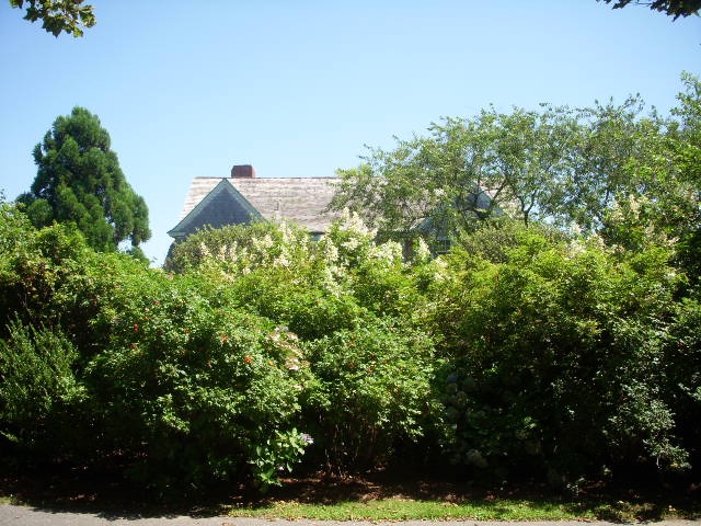 オタクの証明：グレイ・ガーデンズ探訪記