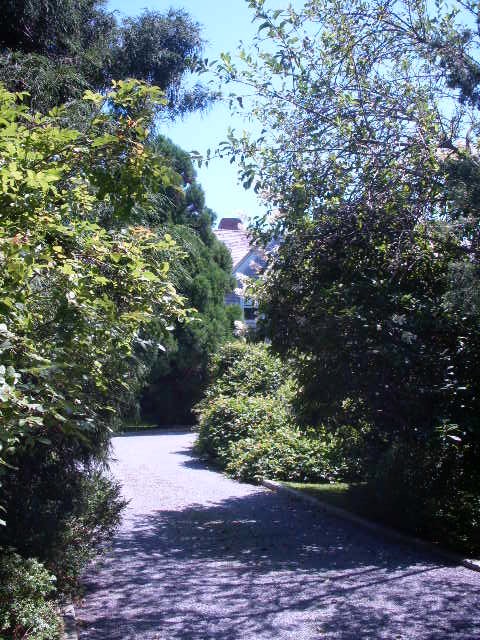 visiting-grey-gardens-3