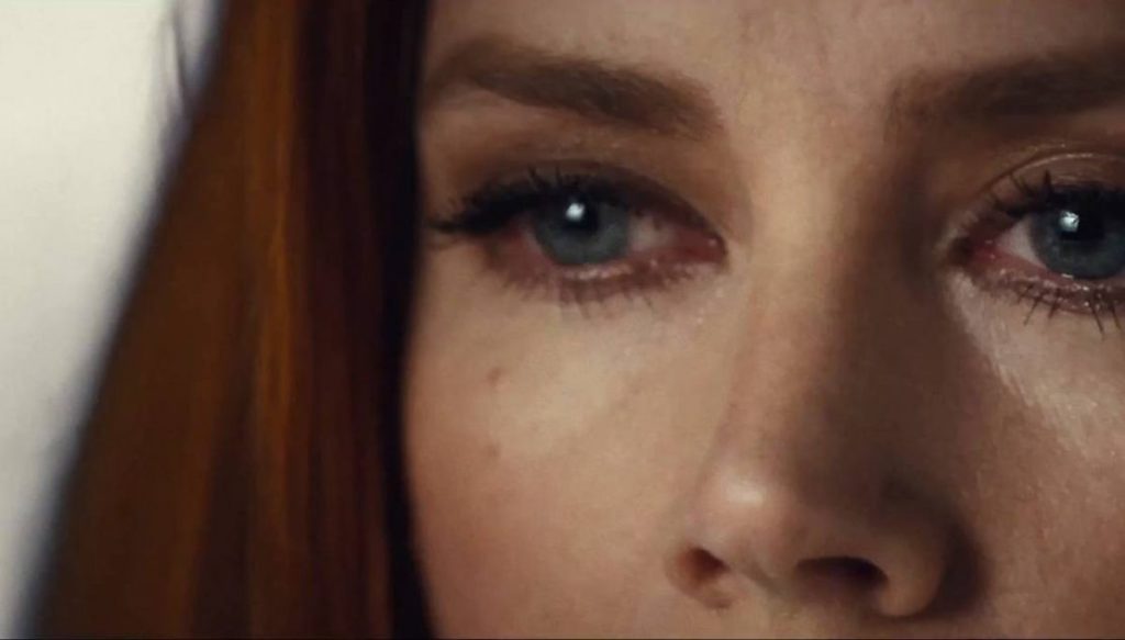 Nocturnal Animals 『ノクターナル・アニマルズ（原題）』オフィシャルティーザートレイラー